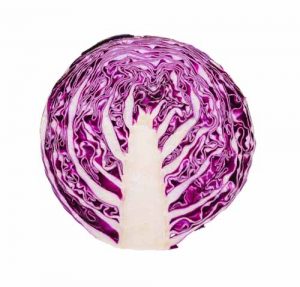 Red Cabbage